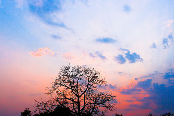 Nature