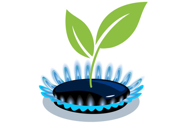 Fast Natural Gas & Biogas analysis