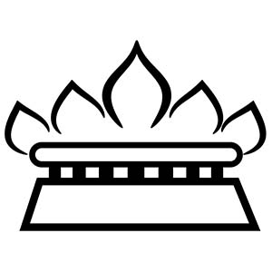 energy icon